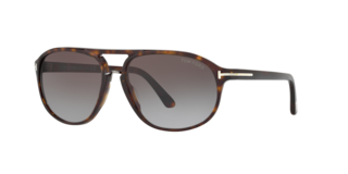 Tom Ford Ft0447 Jacob Sunglasses LensCrafters