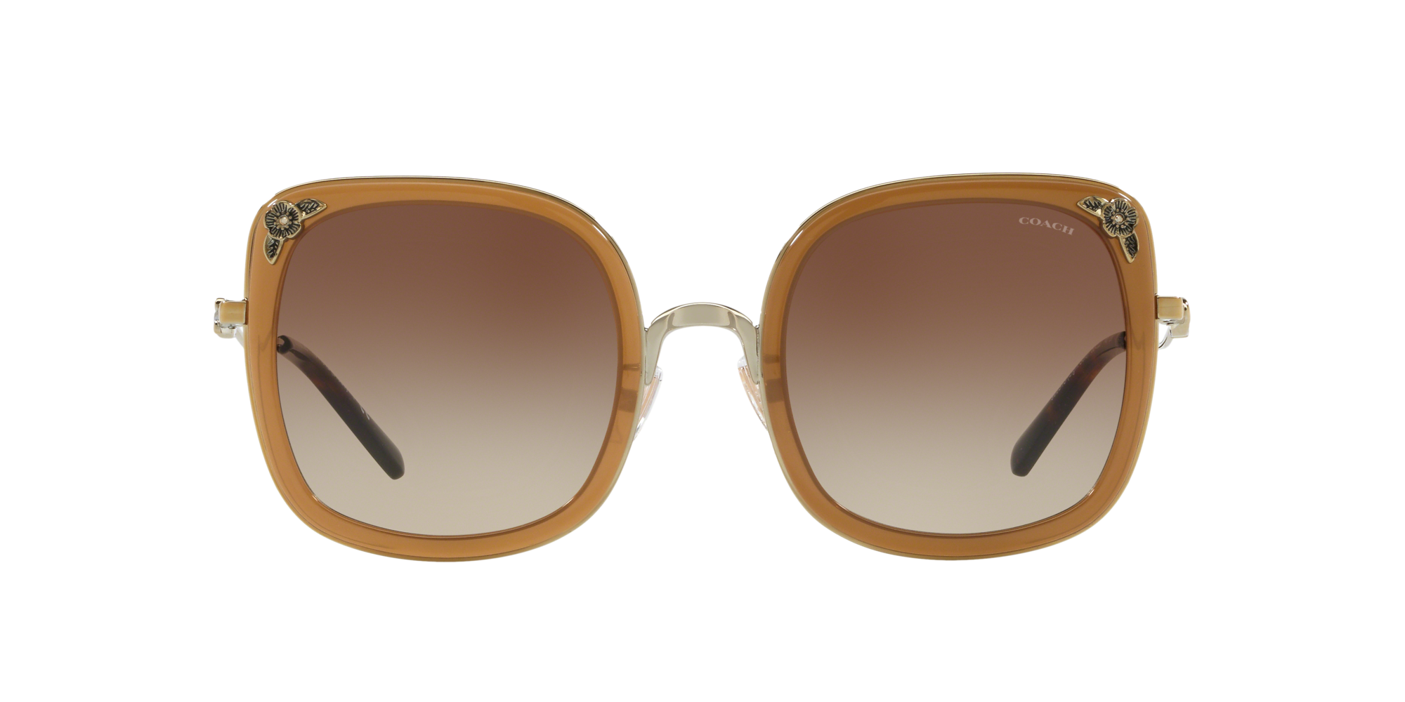 lenscrafters coach sunglasses