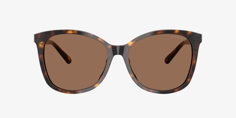 Bargain prescription sunglasses online