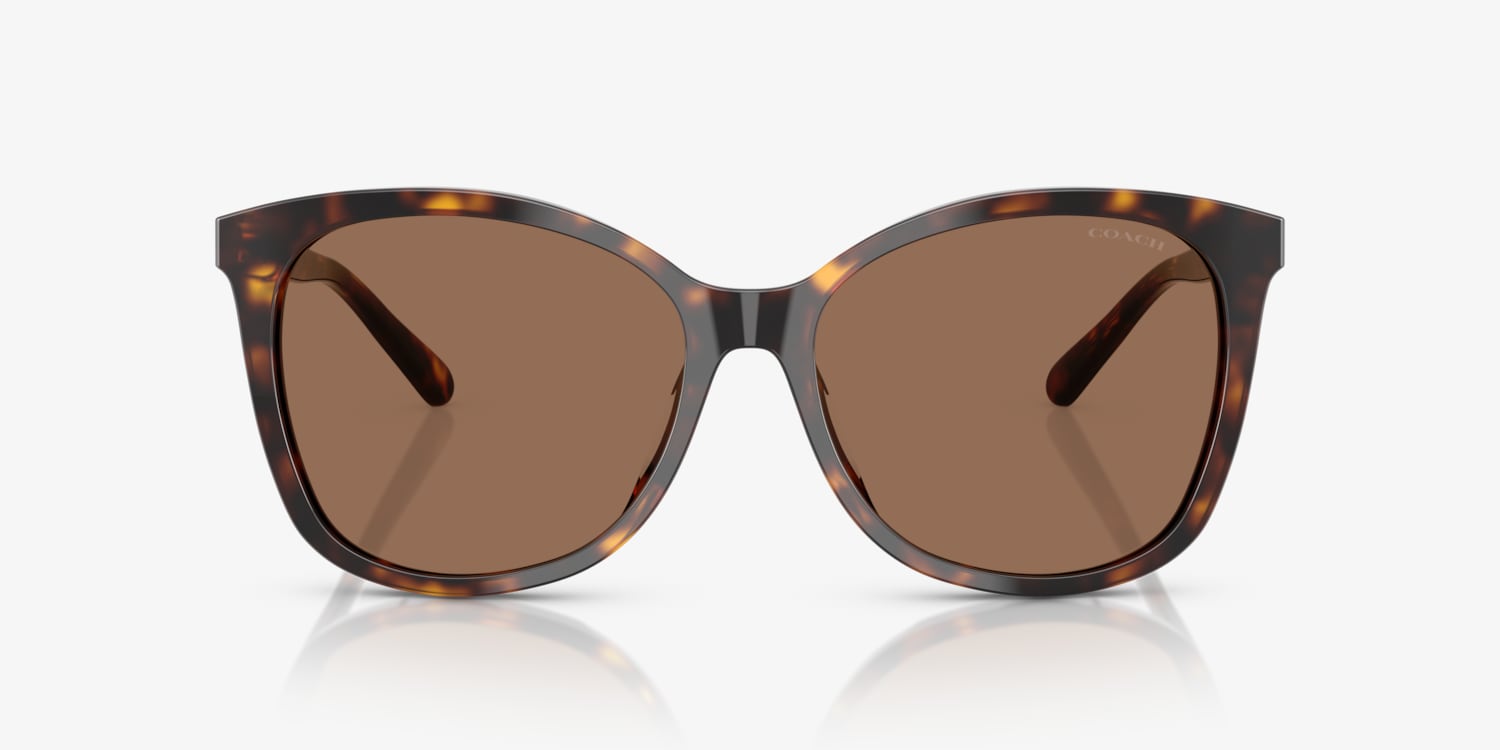 【送料,関税込】 COACH サングラス L1101 HC8271U 偏光レンズ Coach HC8271U L1101 Sunglasses | LensCrafters