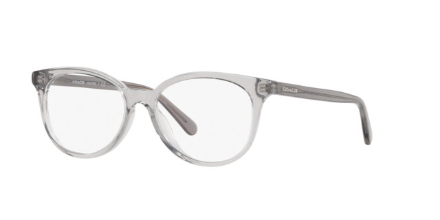 Coach Woman Transparent Grey