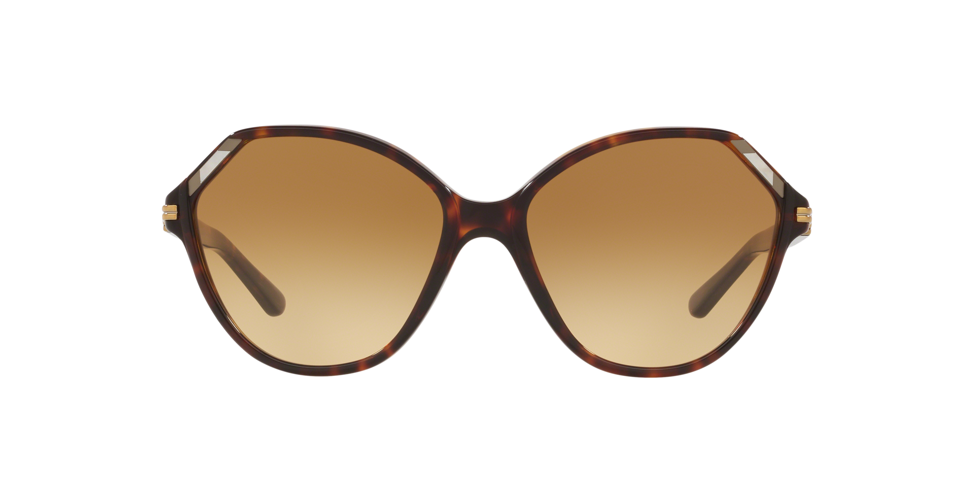 tory burch tortoise glasses