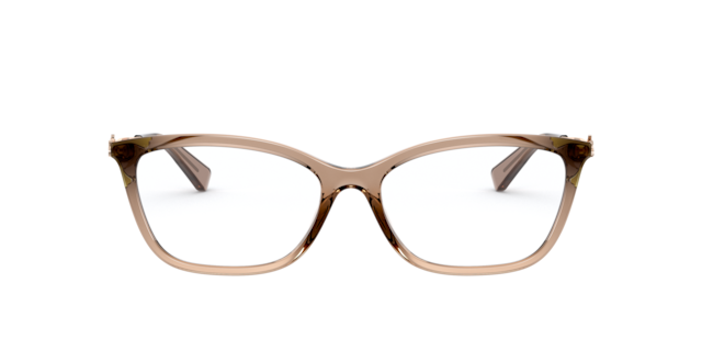 Coach Woman Transparent Brown