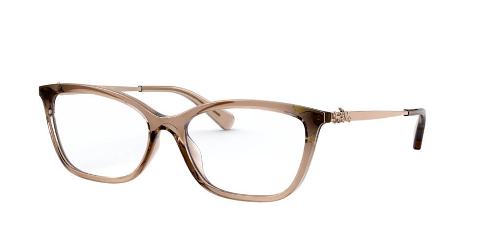 HC6146U: Shop Coach Brown/Tan Butterfly Eyeglasses at LensCrafters