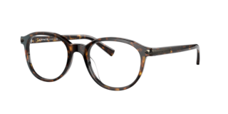 Coach HC6167U C2103 Eyeglasses | LensCrafters