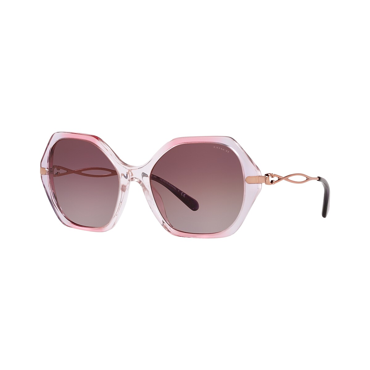 Coach store usa sunglasses