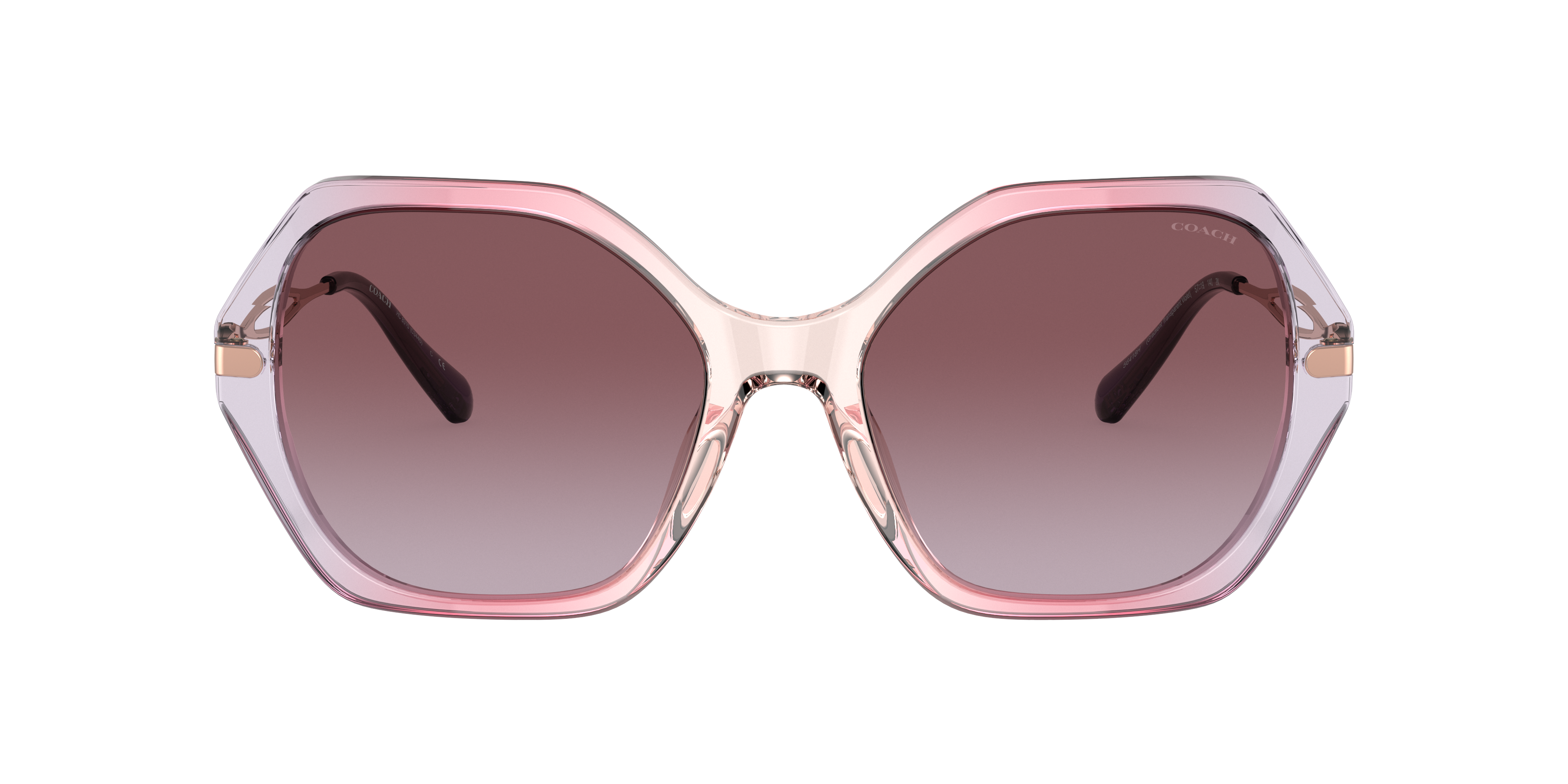 Coach ashley sunglasses online