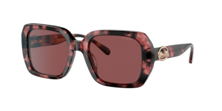 Coach HC8329U C6188 Sunglasses | LensCrafters