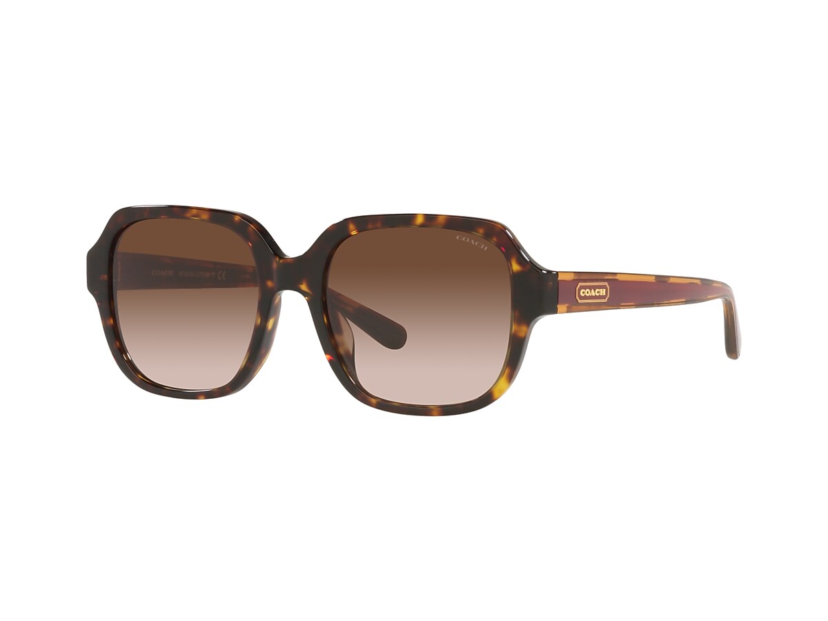 Coach HC8335U C7989 Sunglasses | LensCrafters