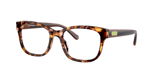 Coach Woman  Pearlescent Amber Tortoise