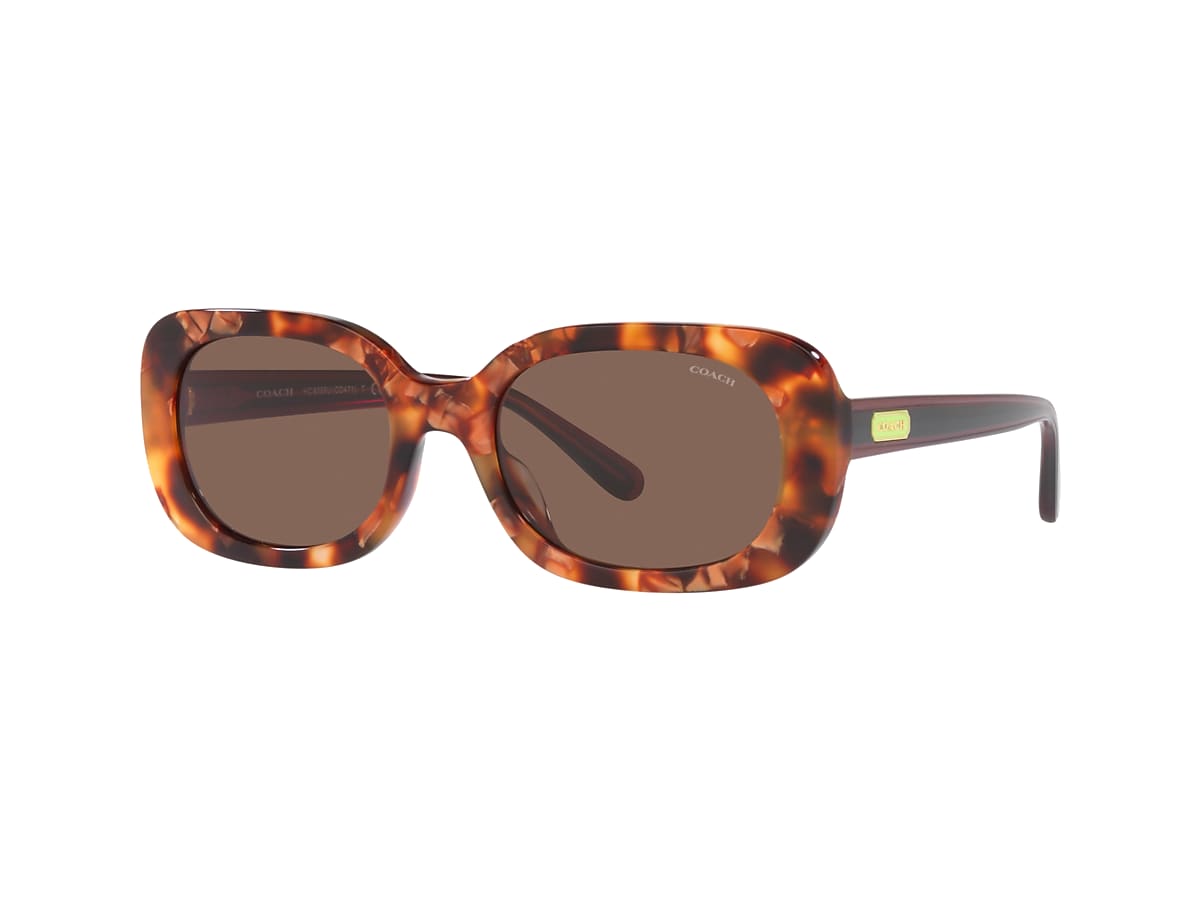 Coach sunglasses outlet discount online