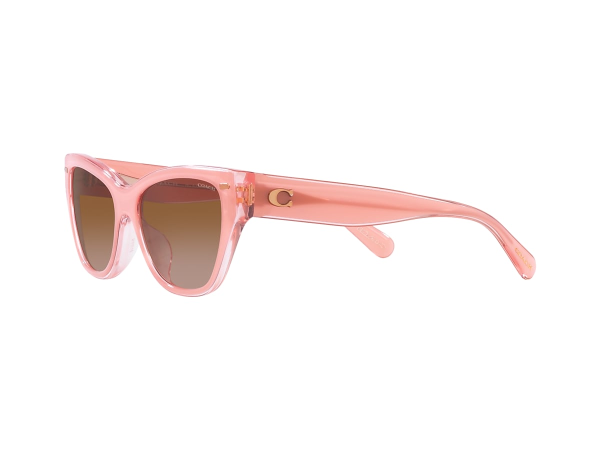 Coach Women's HC8370U Cat Eye Sunglasses