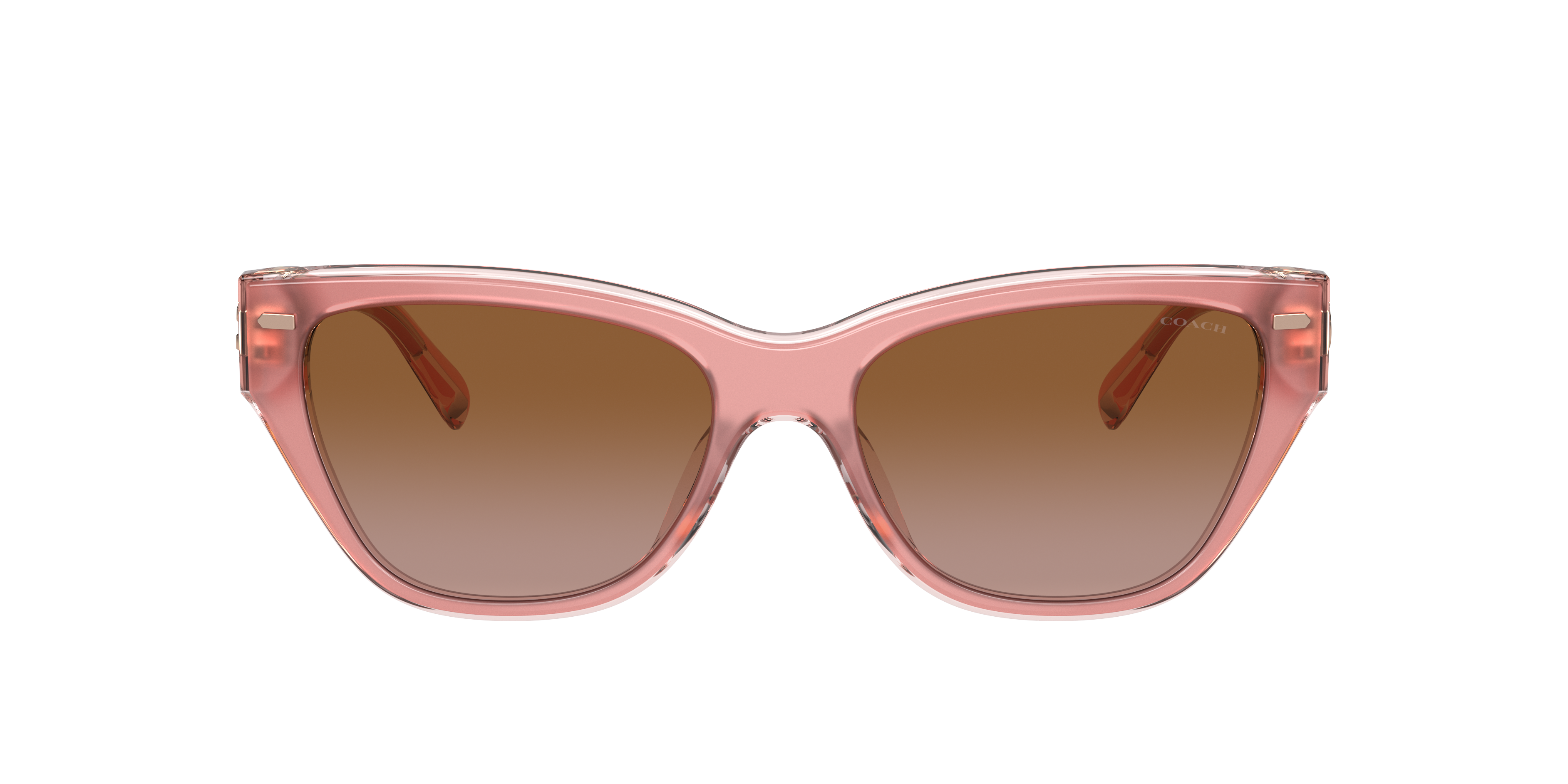 Coach HC8370U CH570 Sunglasses LensCrafters