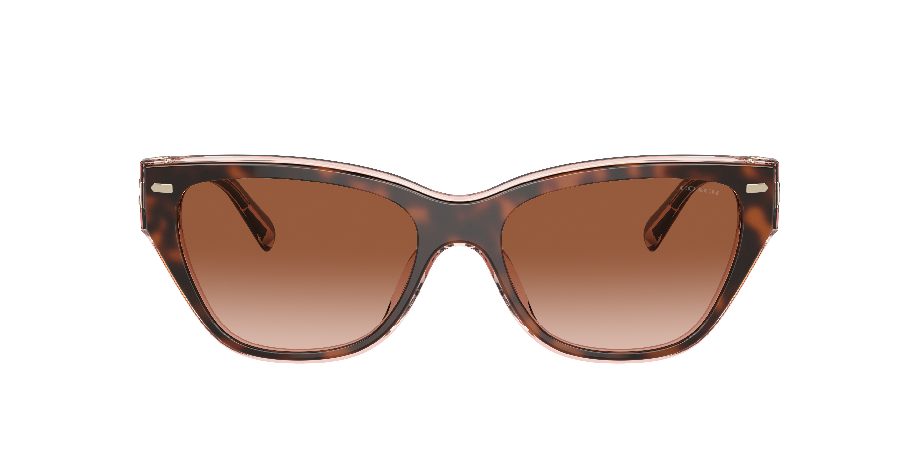 Lenscrafters coach sunglasses online