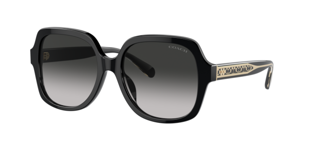 Coach daniella polarized sunglasses online