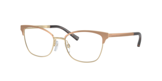 Michael Kors MK3012 Adrianna IV Eyeglasses | LensCrafters