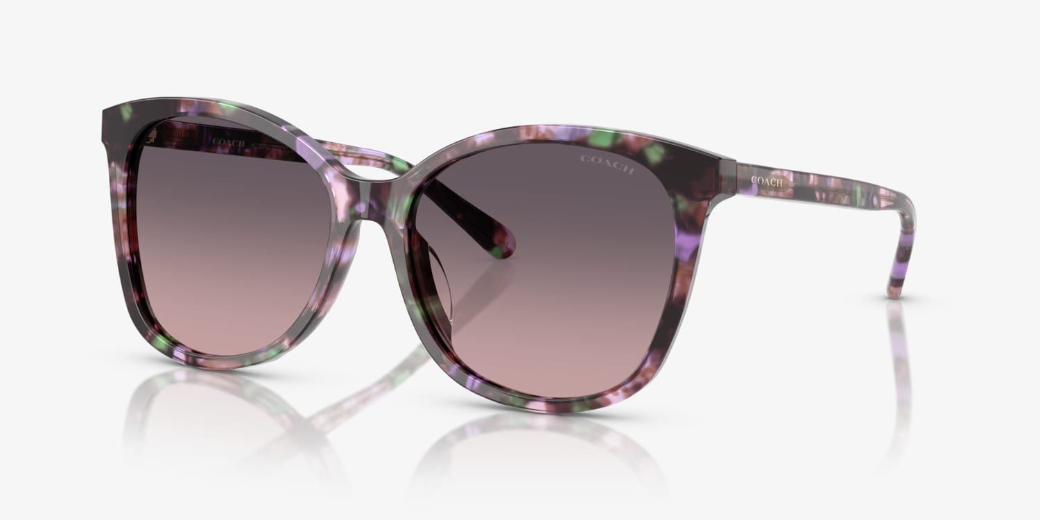 【送料,関税込】 COACH サングラス L1101 HC8271U 偏光レンズ Coach HC8271U L1101 Sunglasses | LensCrafters