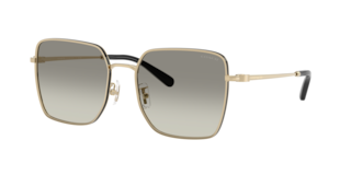 Coach HC7184D CBZ51 Sunglasses | LensCrafters