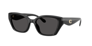 Coach AMERICAN BLACK 001 メガネ 725125535373__002.png?imwidth=300