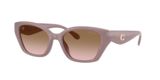 Coach HC8434U CBY91 Sunglasses | LensCrafters