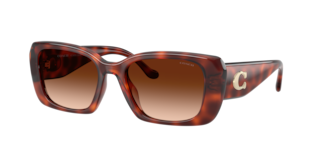 Coach HC8435U CBY82 Sunglasses | LensCrafters