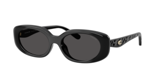 Coach HC8443D CBY84 Sunglasses | LensCrafters