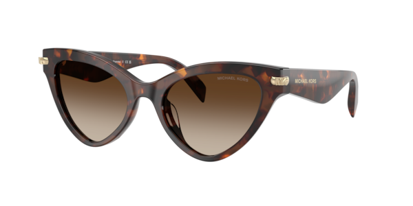 Michael Kors MK2259U Roanoke Sunglasses | LensCrafters