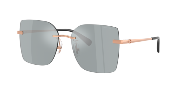 Coach HC7193D CDP45 Sunglasses | LensCrafters