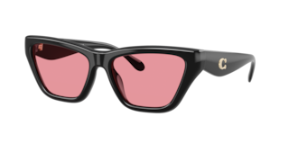 Coach HC8449U CDP33 Sunglasses | LensCrafters