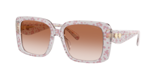 Coach HC8424U CAD54 Sunglasses | LensCrafters