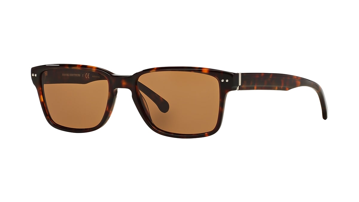 Sunglass Hut Collection HU1009 49 Gradient Brown & Shiny Copper