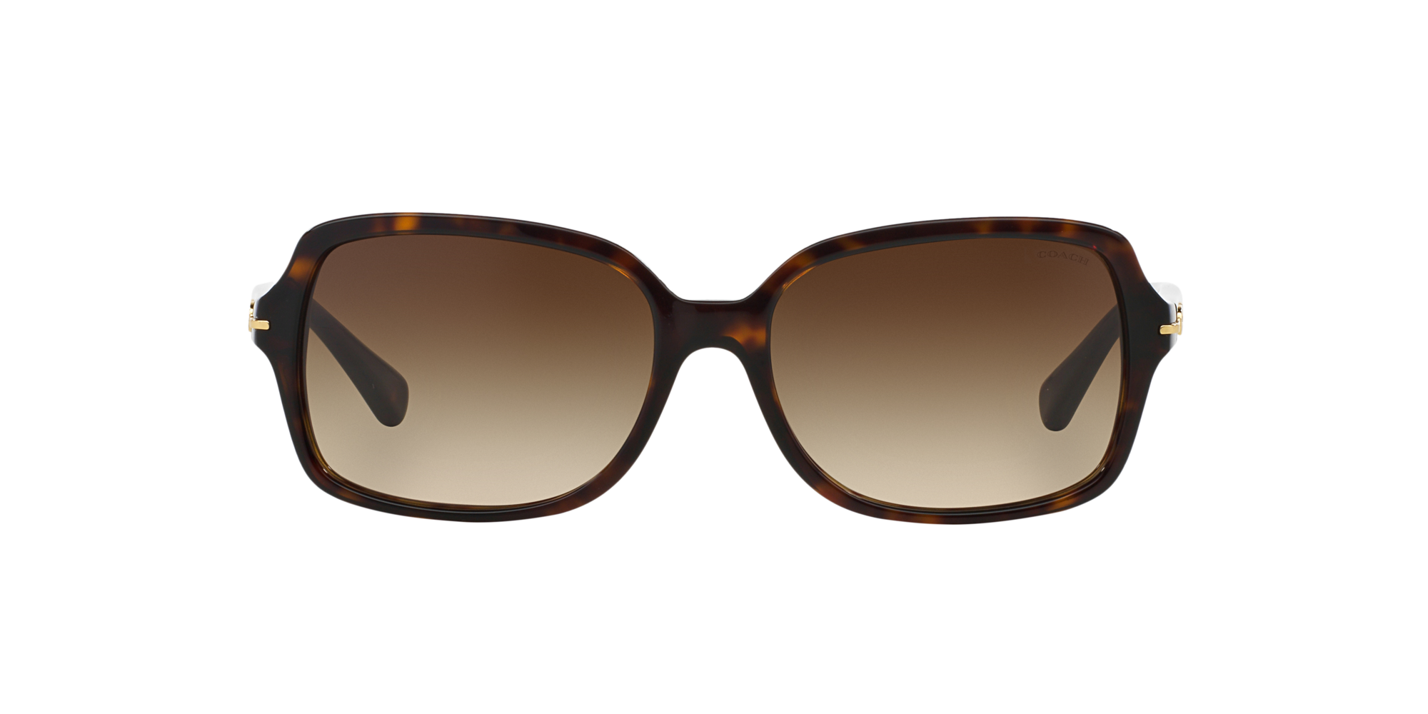 Coach sunglasses cheapest