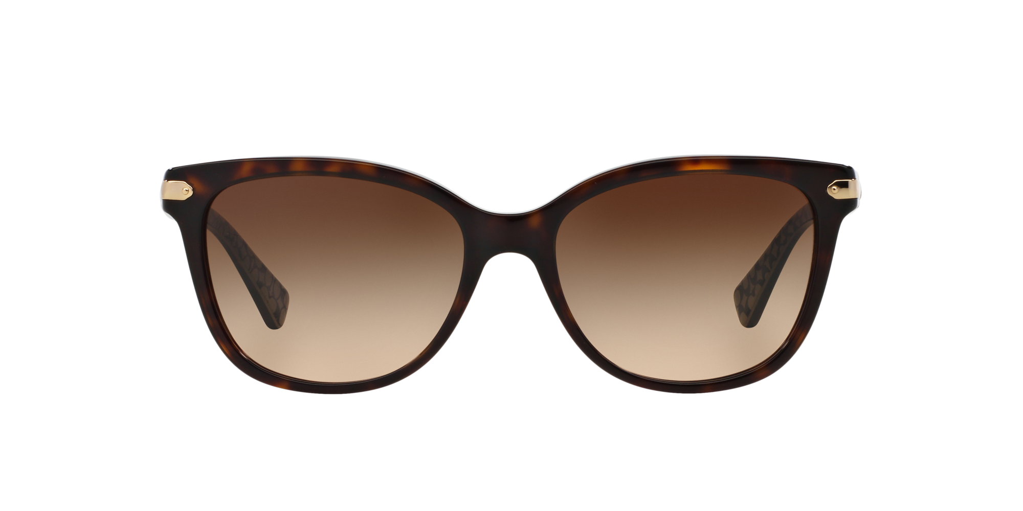 hc8132 coach sunglasses