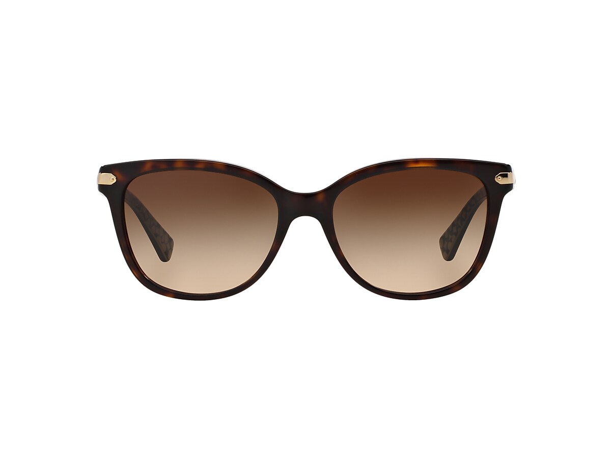 Coach HC8132 L109 Sunglasses | LensCrafters