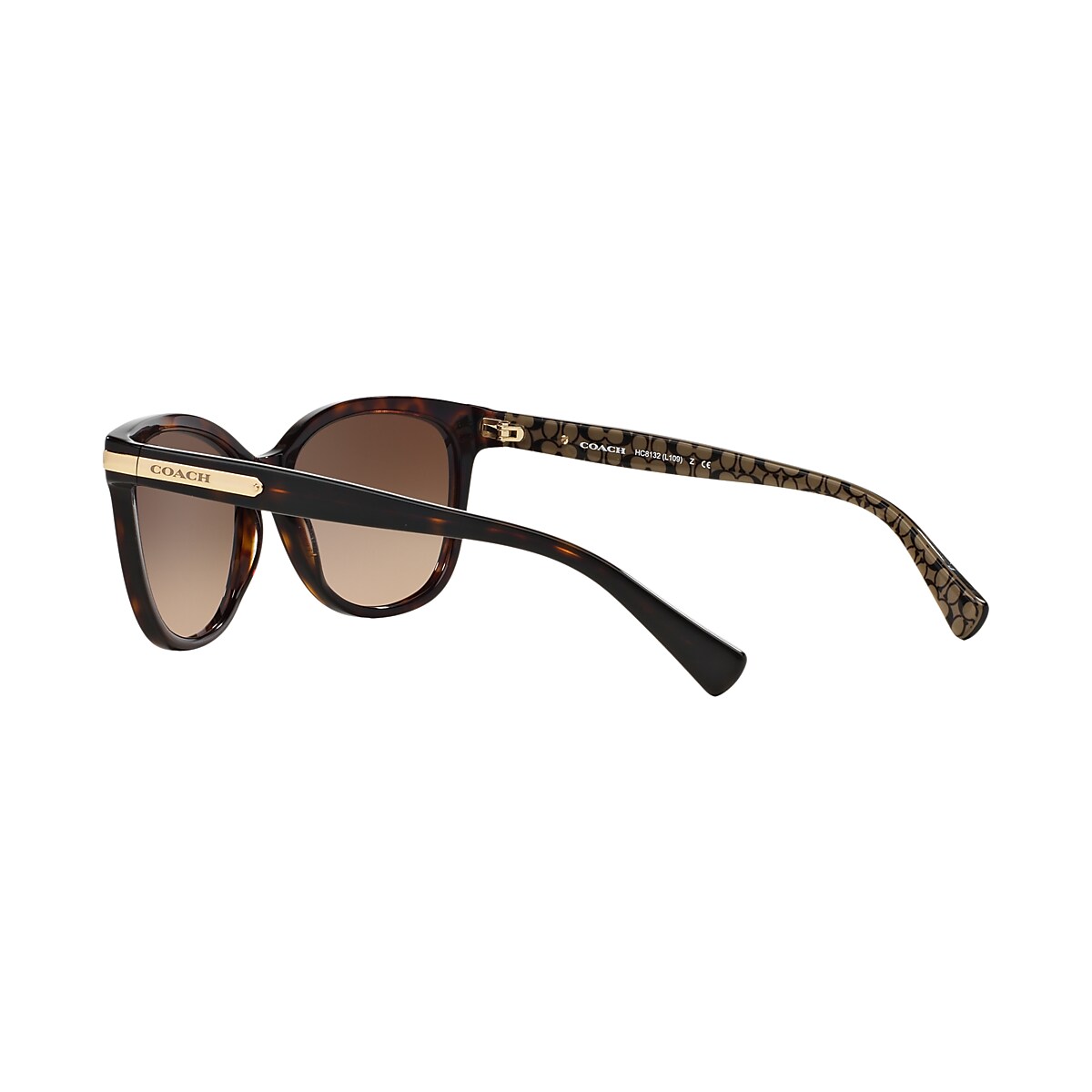 Coach sunglasses clearance hc8132