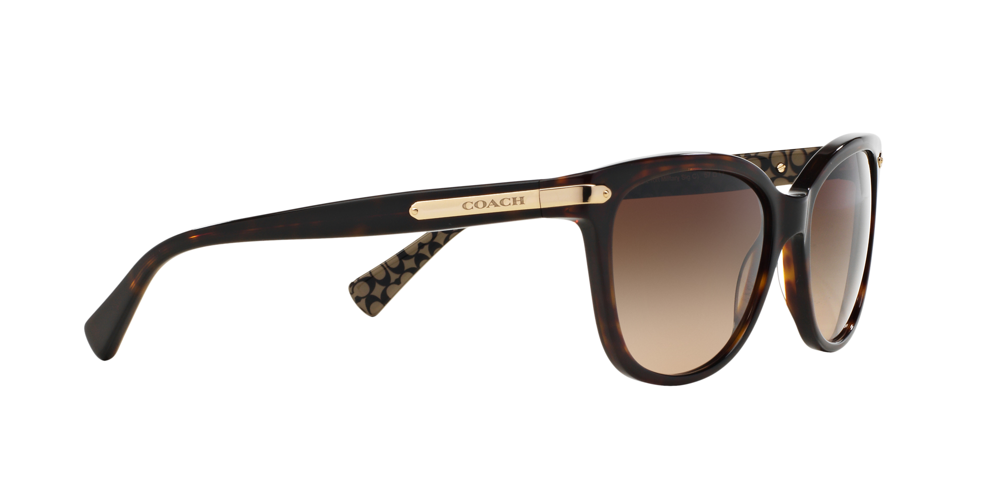 coach hc8132 polarized