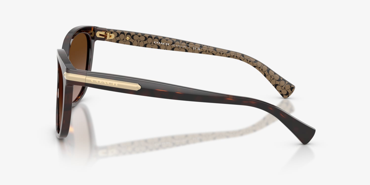 Coach HC8132 L109 Sunglasses | LensCrafters Coach HC8132 L109 Sunglasses | LensCrafters
