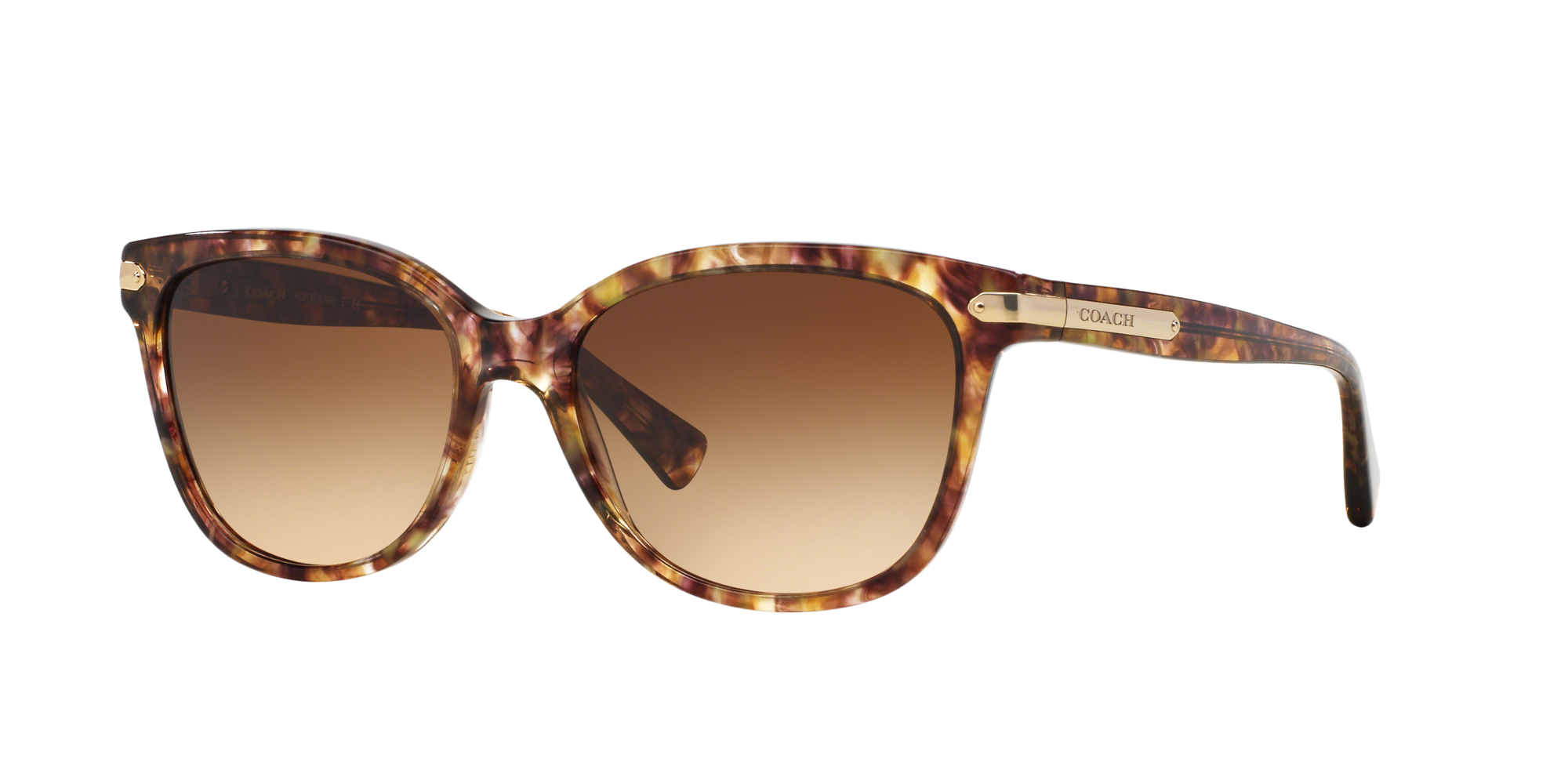 coach sunglasses hc8132