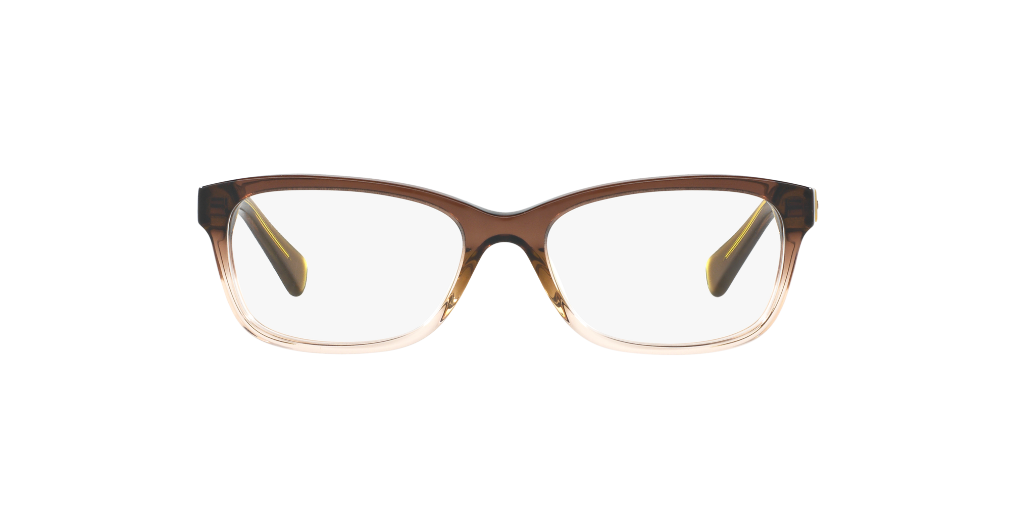 brown coach glasses