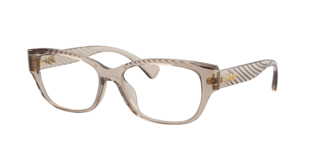 Ralph by Ralph Lauren Woman Shiny Transparent Beige