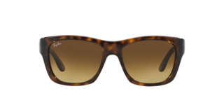 Rb4194 polarized 2024