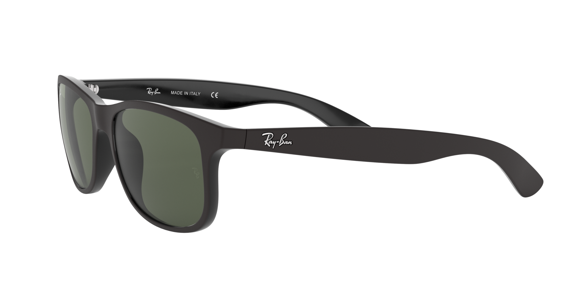 rayban 4202