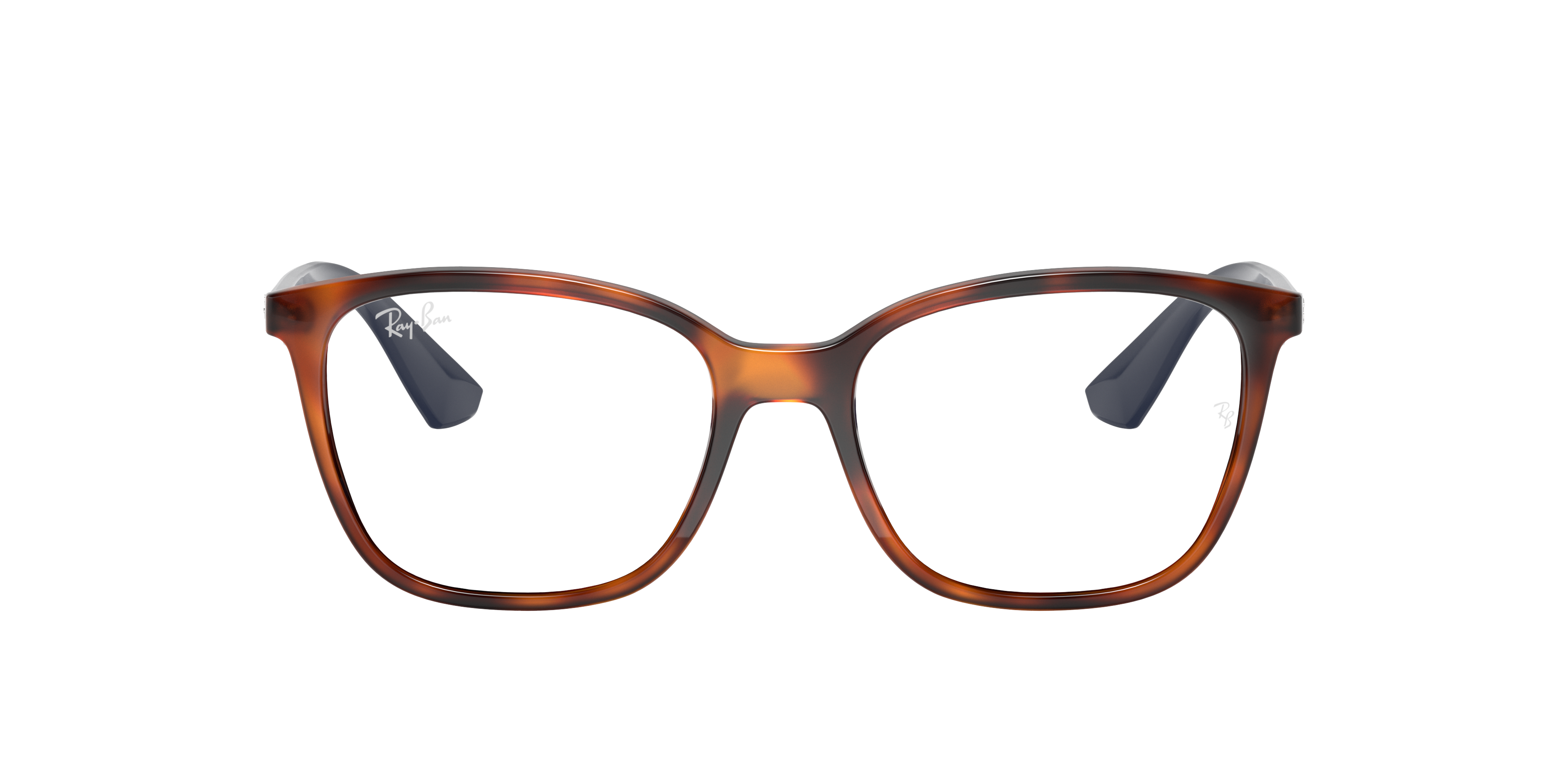 RB7066 Optics