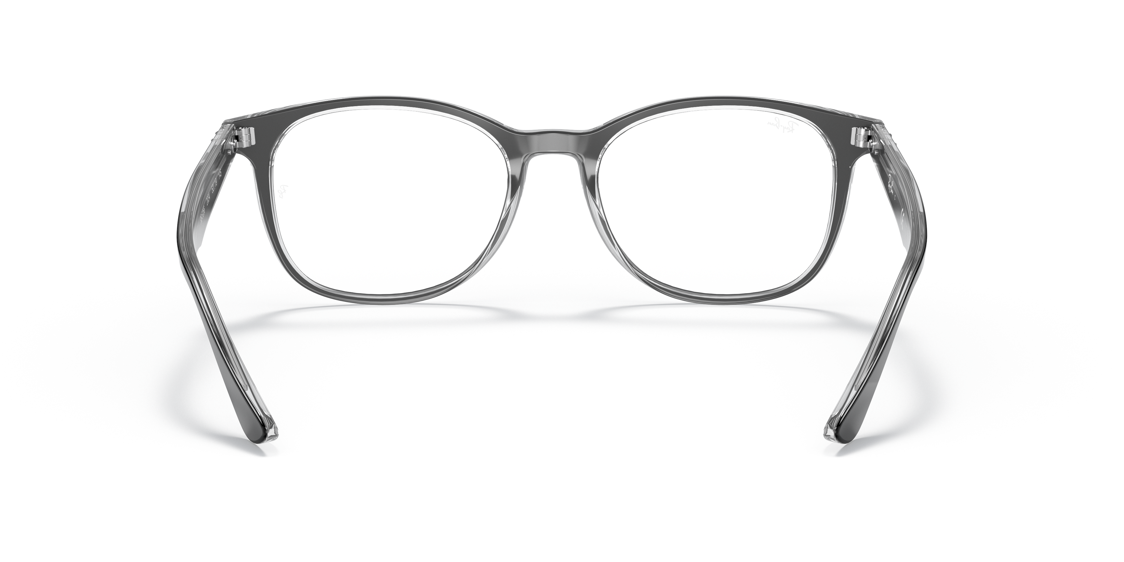 RB5356 Optics