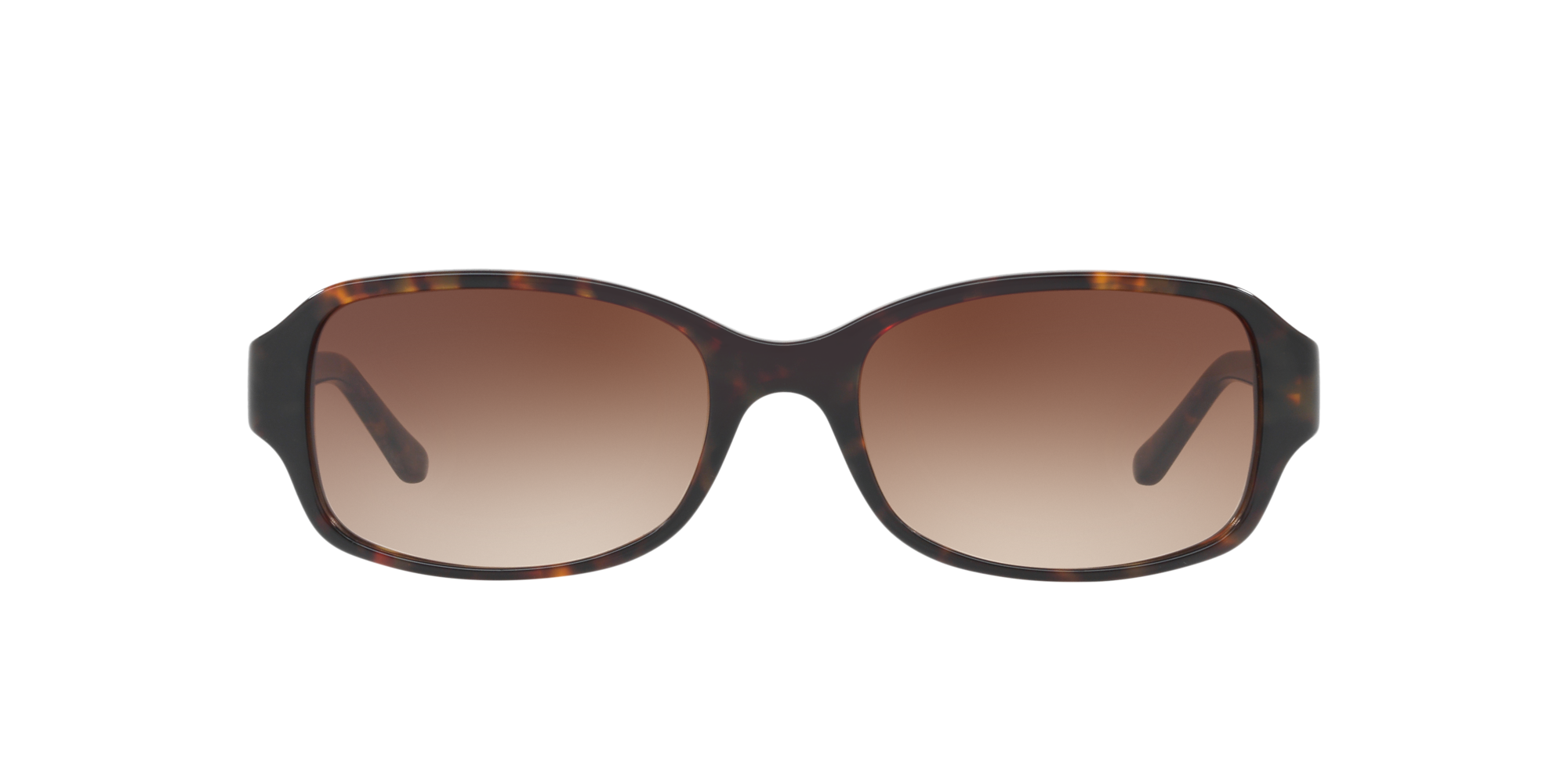 Sferoflex SF5504S Sunglasses | LensCrafters