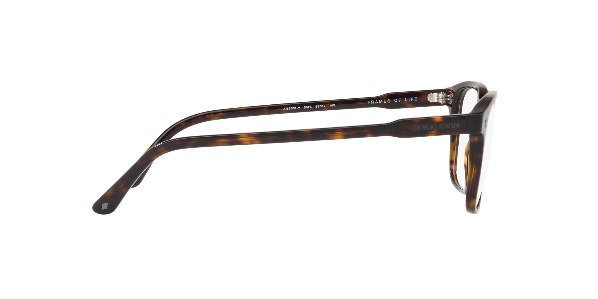 armani havana glasses