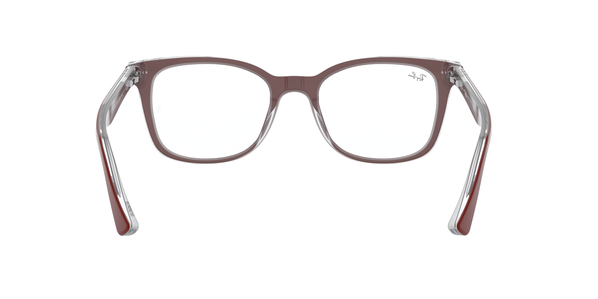 RB5285 Optics