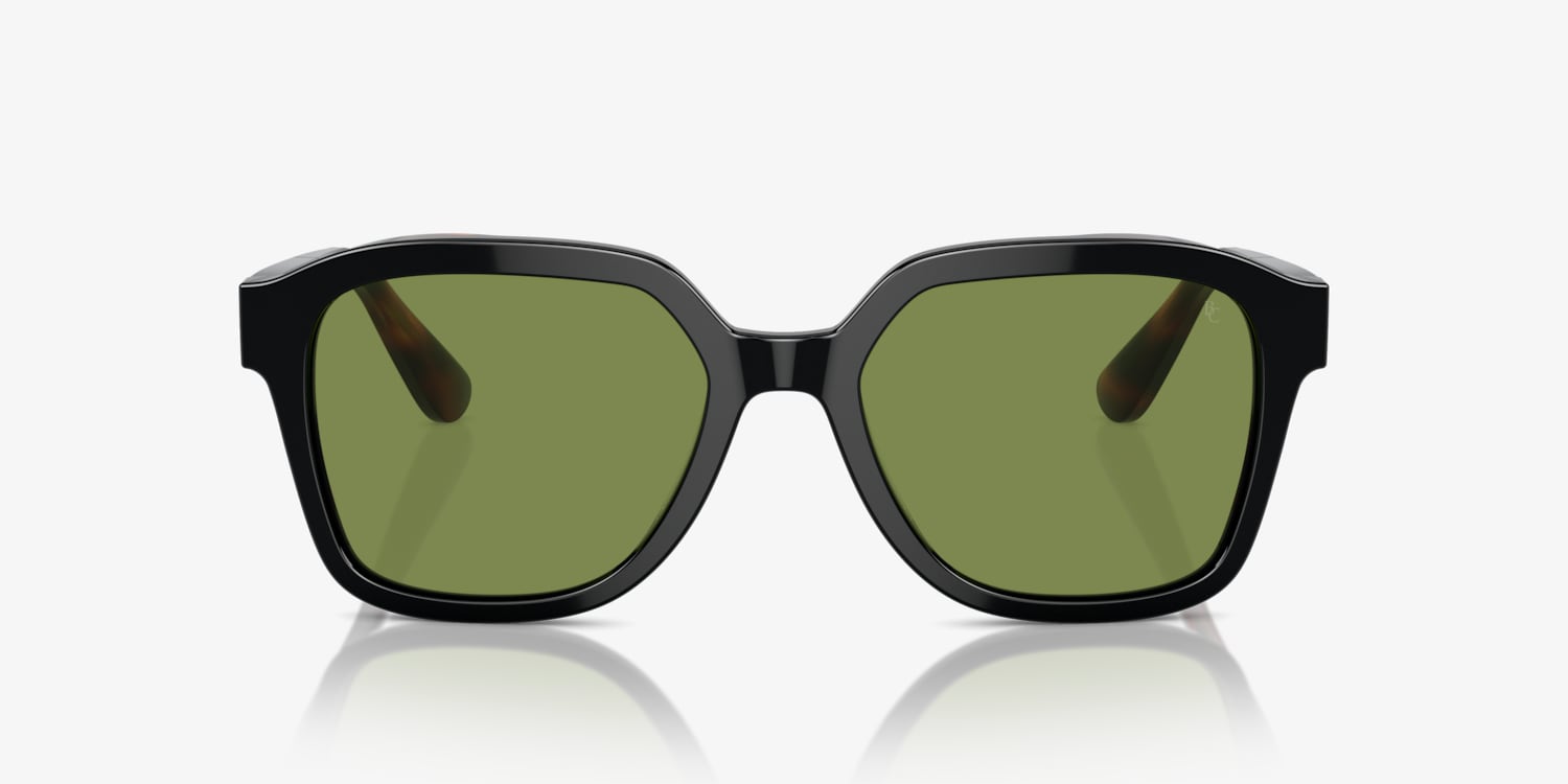 メガネ BRUNELLO CUCINELLI Acetate Filu sunglasses with classic len Brunello Cucinelli BC4005S Sunglasses | LensCrafters
