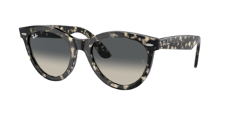 Ray-Ban RB2241 Wayfarer Way Sunglasses | LensCrafters