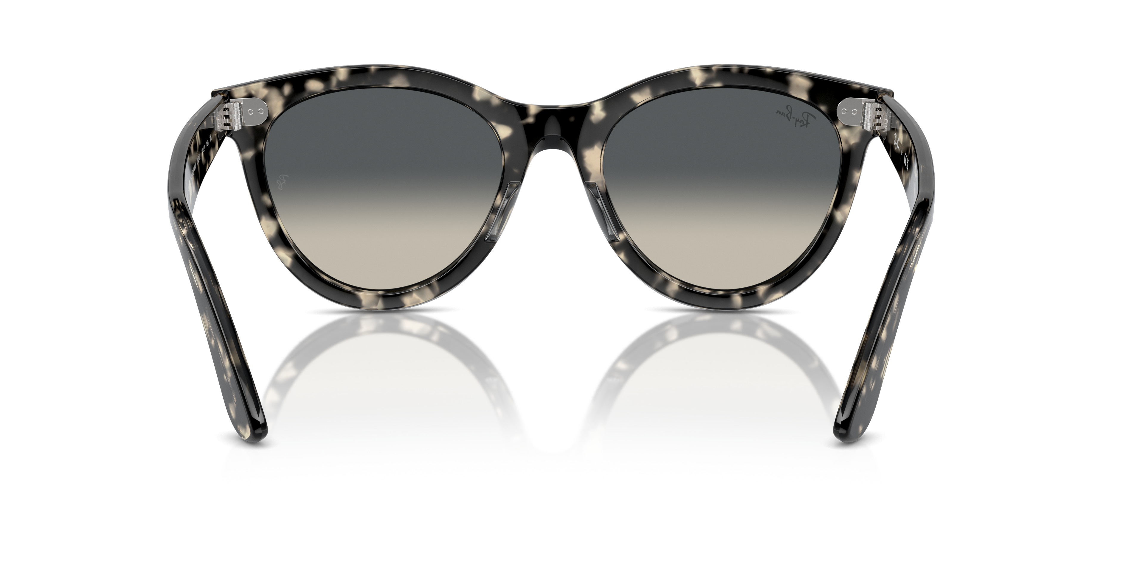 Wayfarer 2 evolve clearance